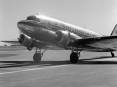 TCA 1940s 1950s NFB DVD